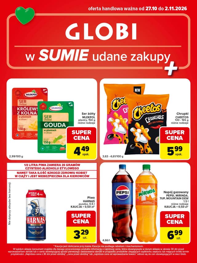GLOBI flyer cover