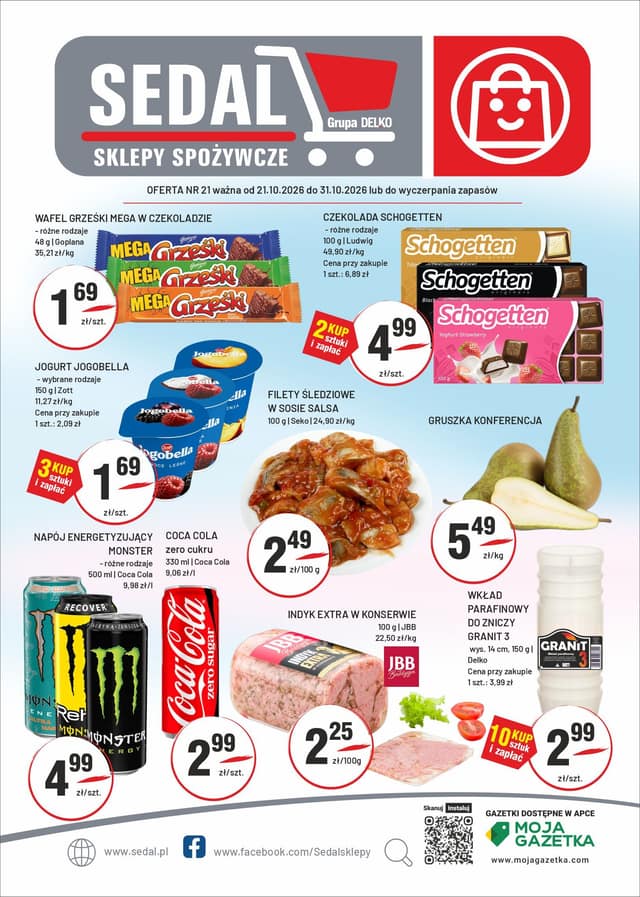 SEDAL flyer cover