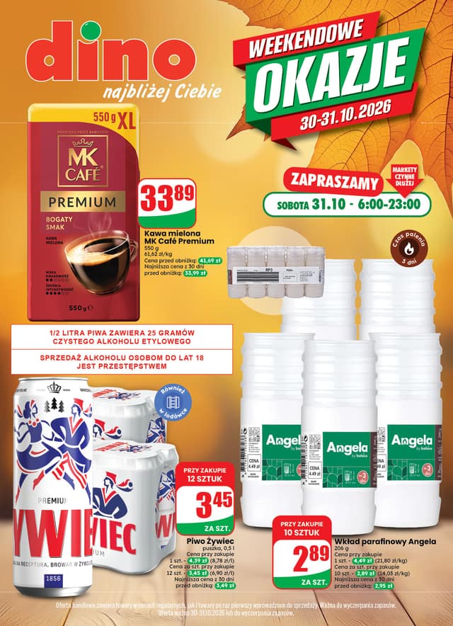 DINO flyer cover